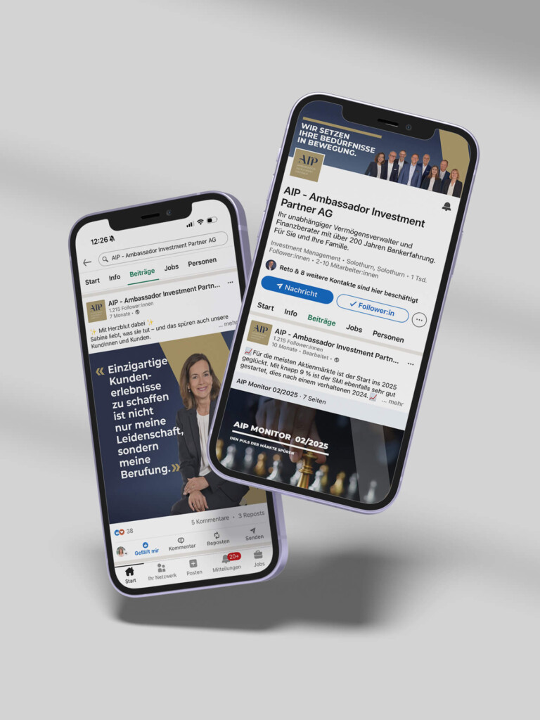Ambassador Investment Partner – Markenstrategie, visuelle Identität, Website und Werbekampagnen 03
