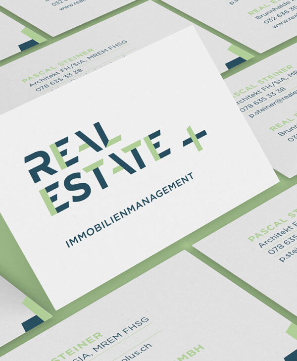 Real Estate Plus – Visuelle Klarheit, Logoentwicklung und illustrative Darstellung der Geschäftsfelder 00