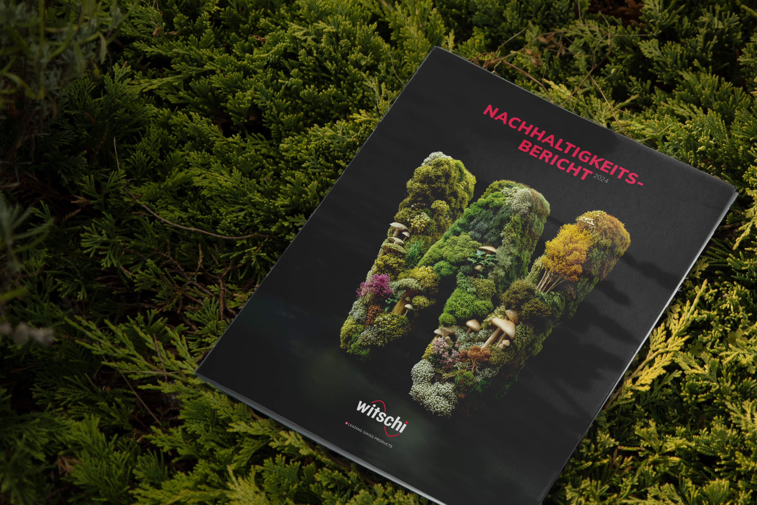 witschinachhaltigkeit